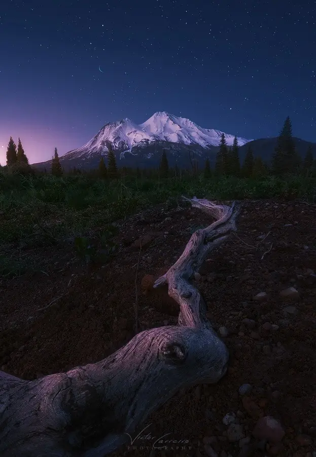 landscape landscape