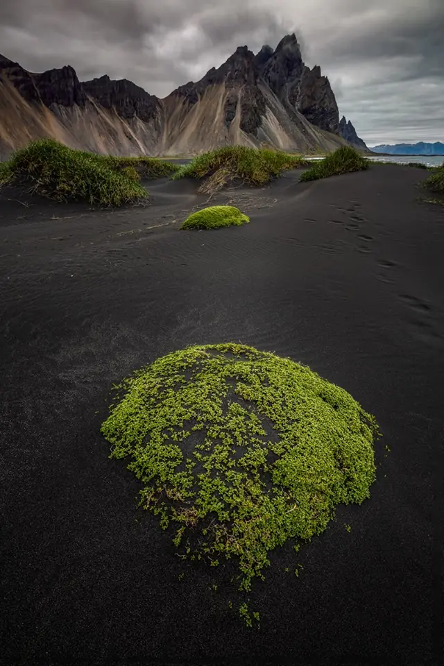 landscape landscape