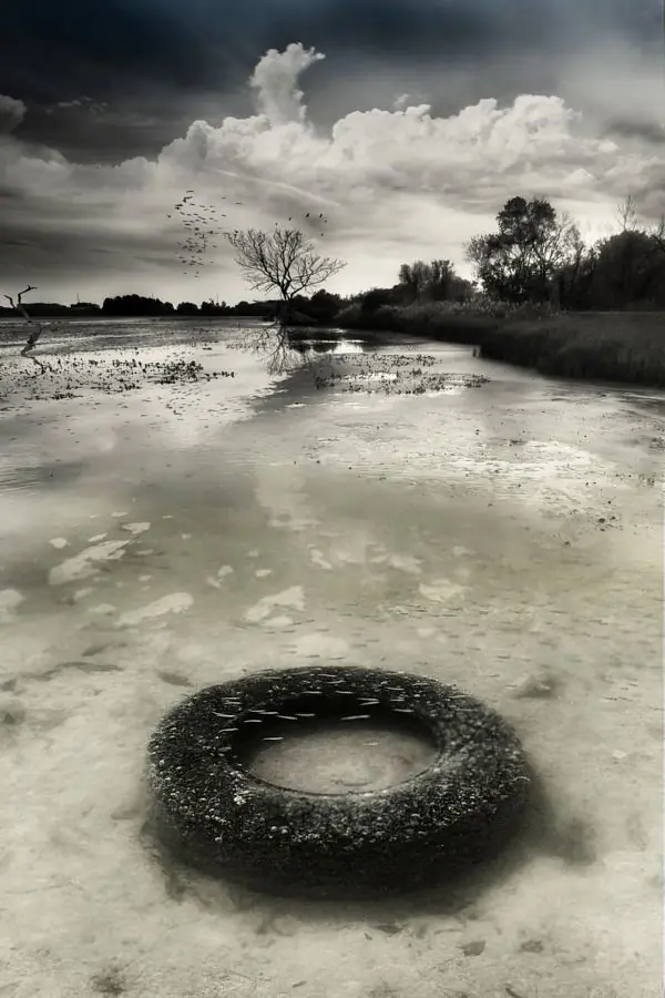 landscape landscape