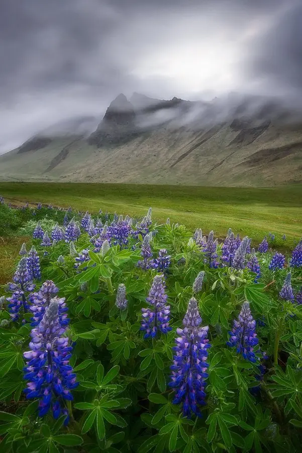 landscape landscape
