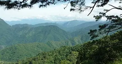 cabeza de piedra