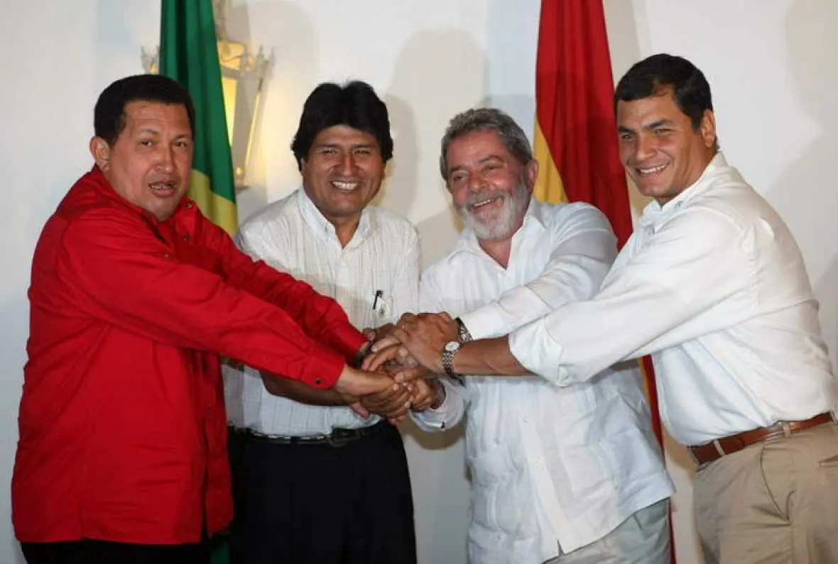 Macri gato