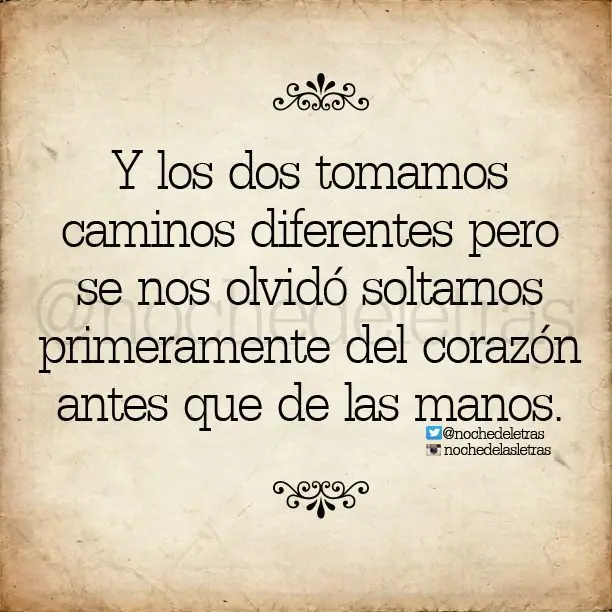 19 Frases de libros que encantarán a todo buen lector