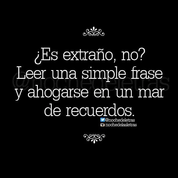 19 Frases de libros que encantarán a todo buen lector