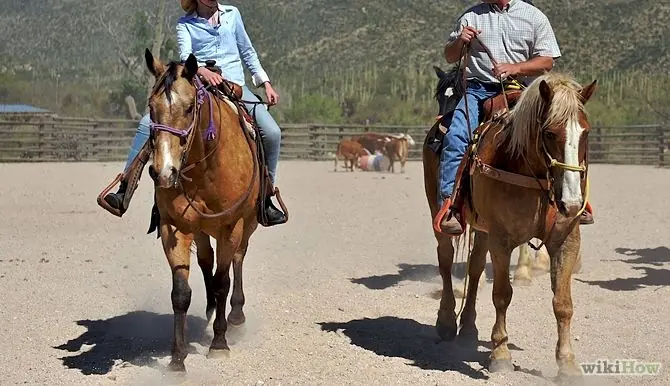 caballo