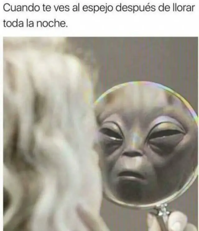 inmigrante inmigrante