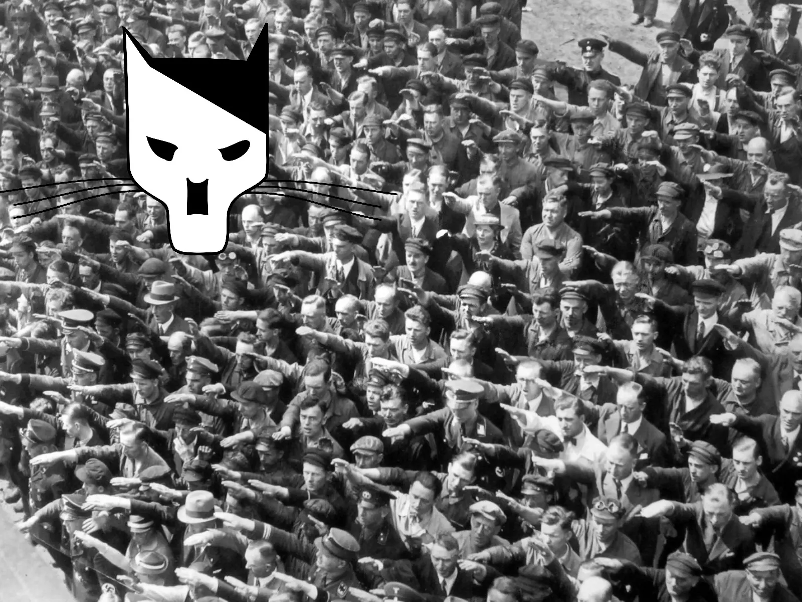 fanaticos