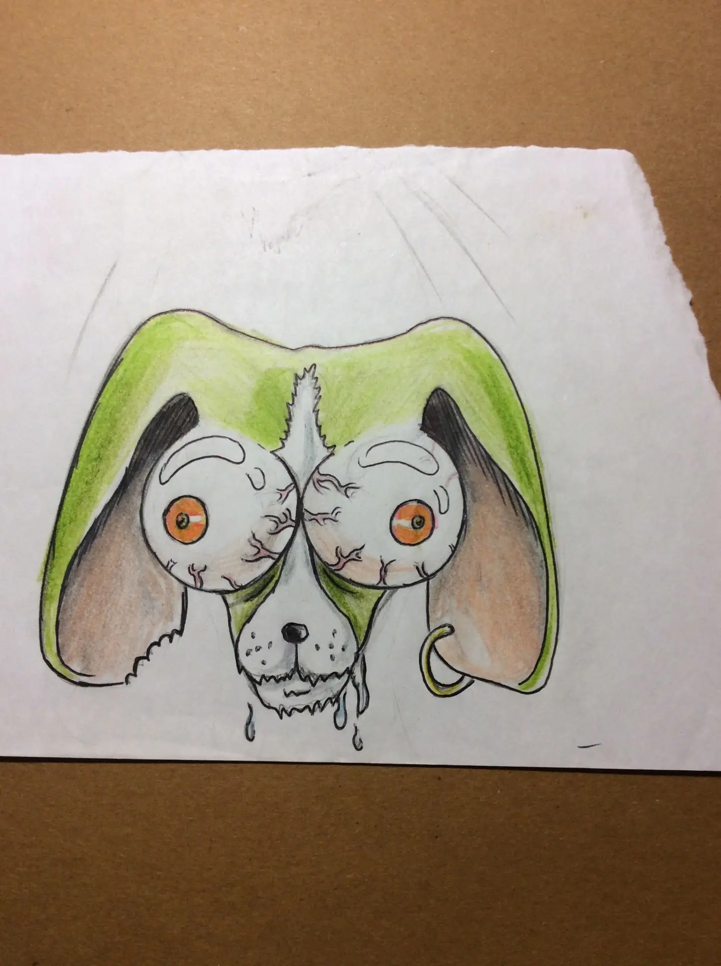 piolas