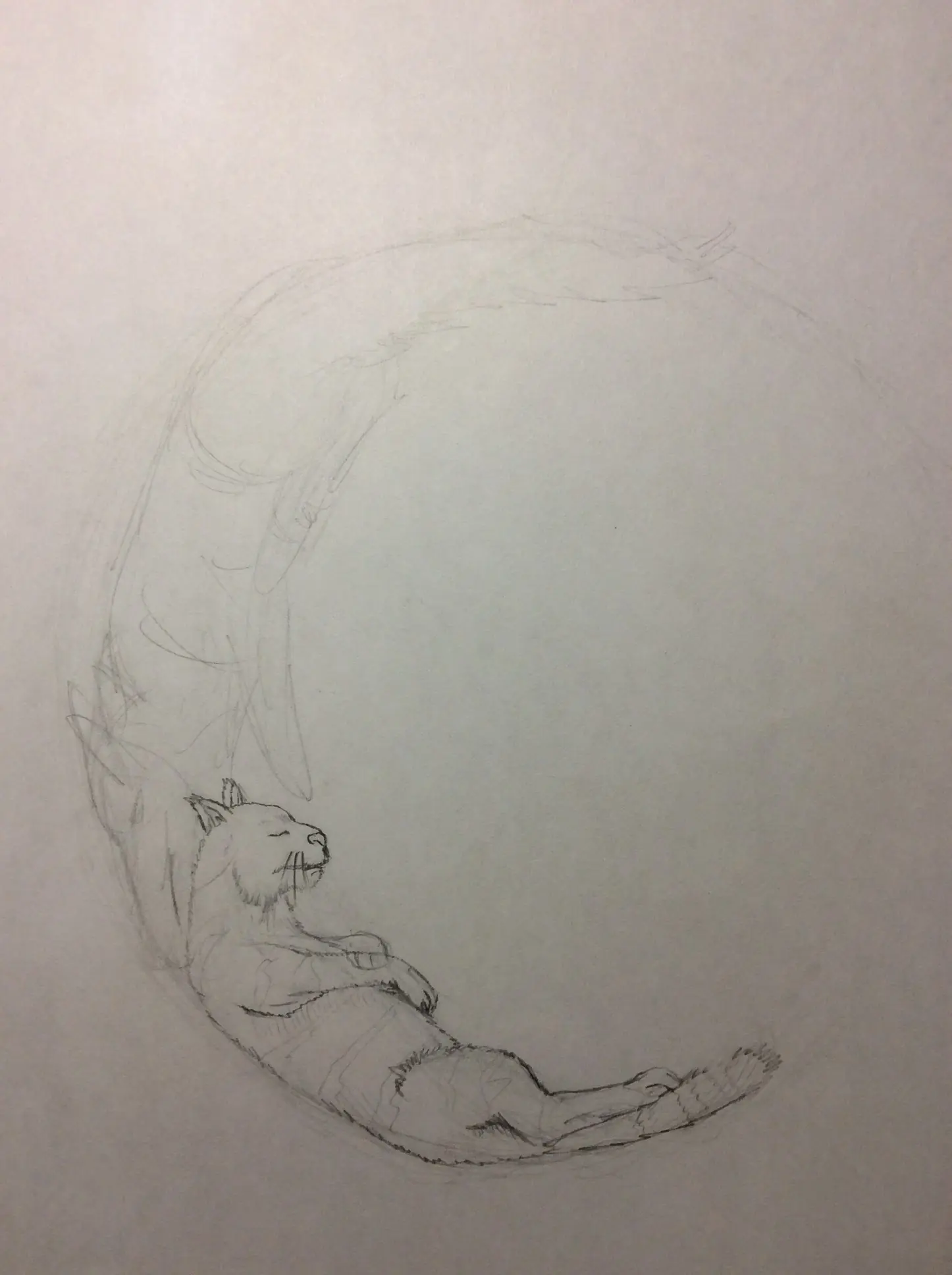 Mis dibujos a mano alzada
