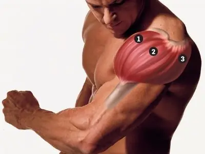 masa