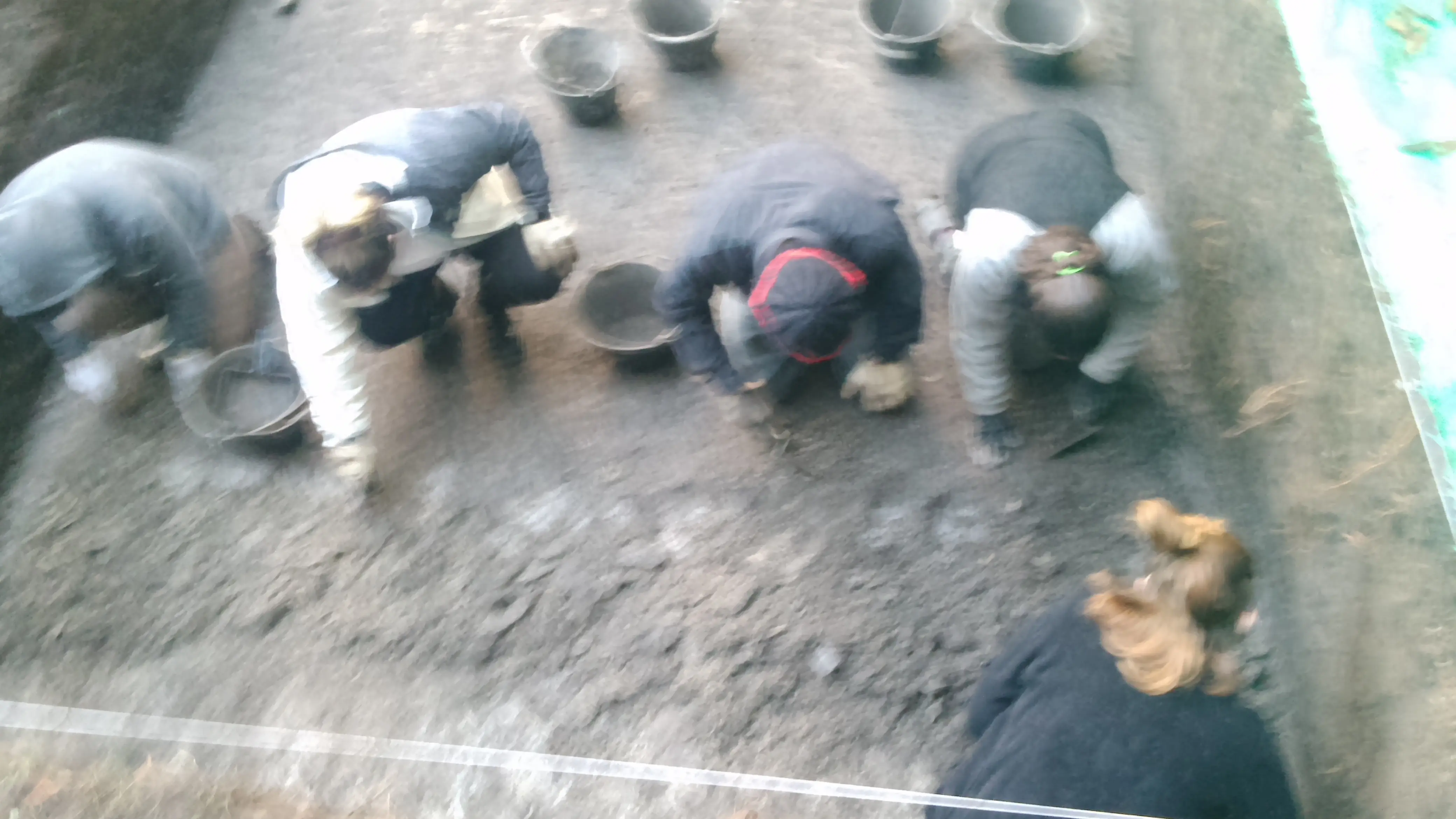 Estuve en una excavacion arqueologica en Buenos Aires Estuve en una excavacion arqueologica en Buenos Aires