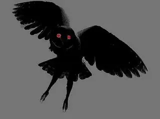 lobizon lobizon
