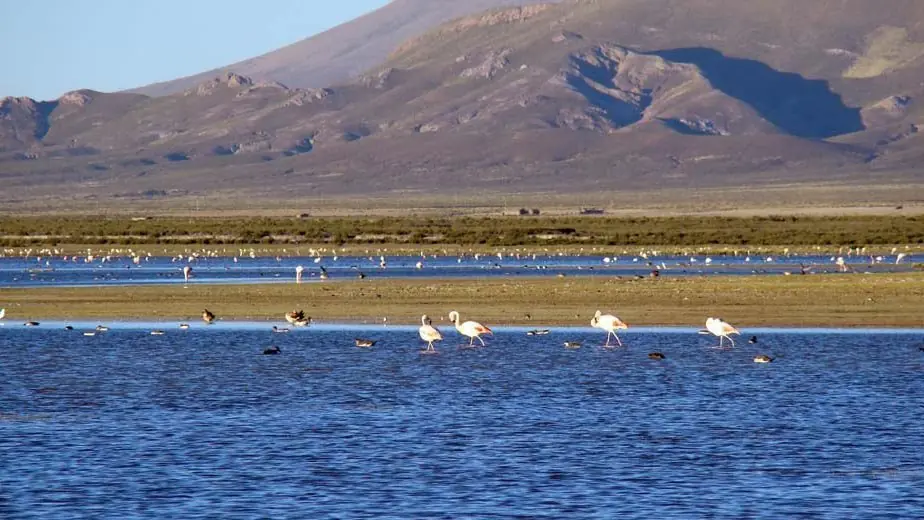 Monumentos naturales de Argentina