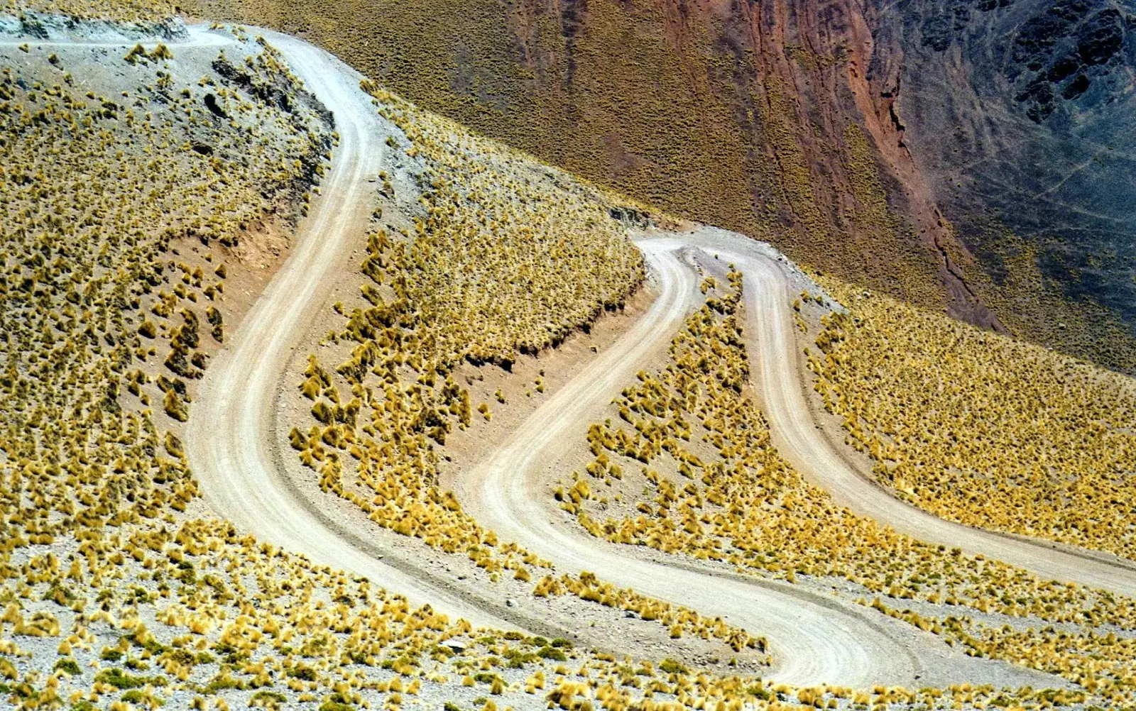 yaguarete