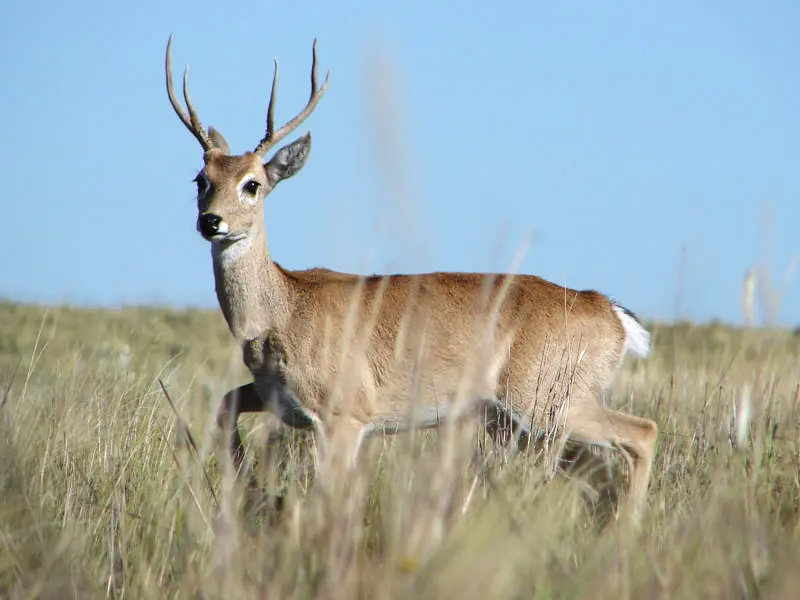 reservas naturales