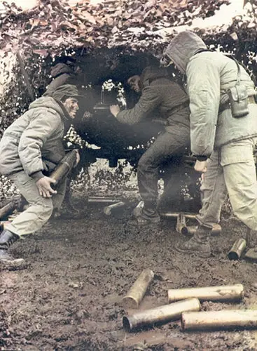 malvinas