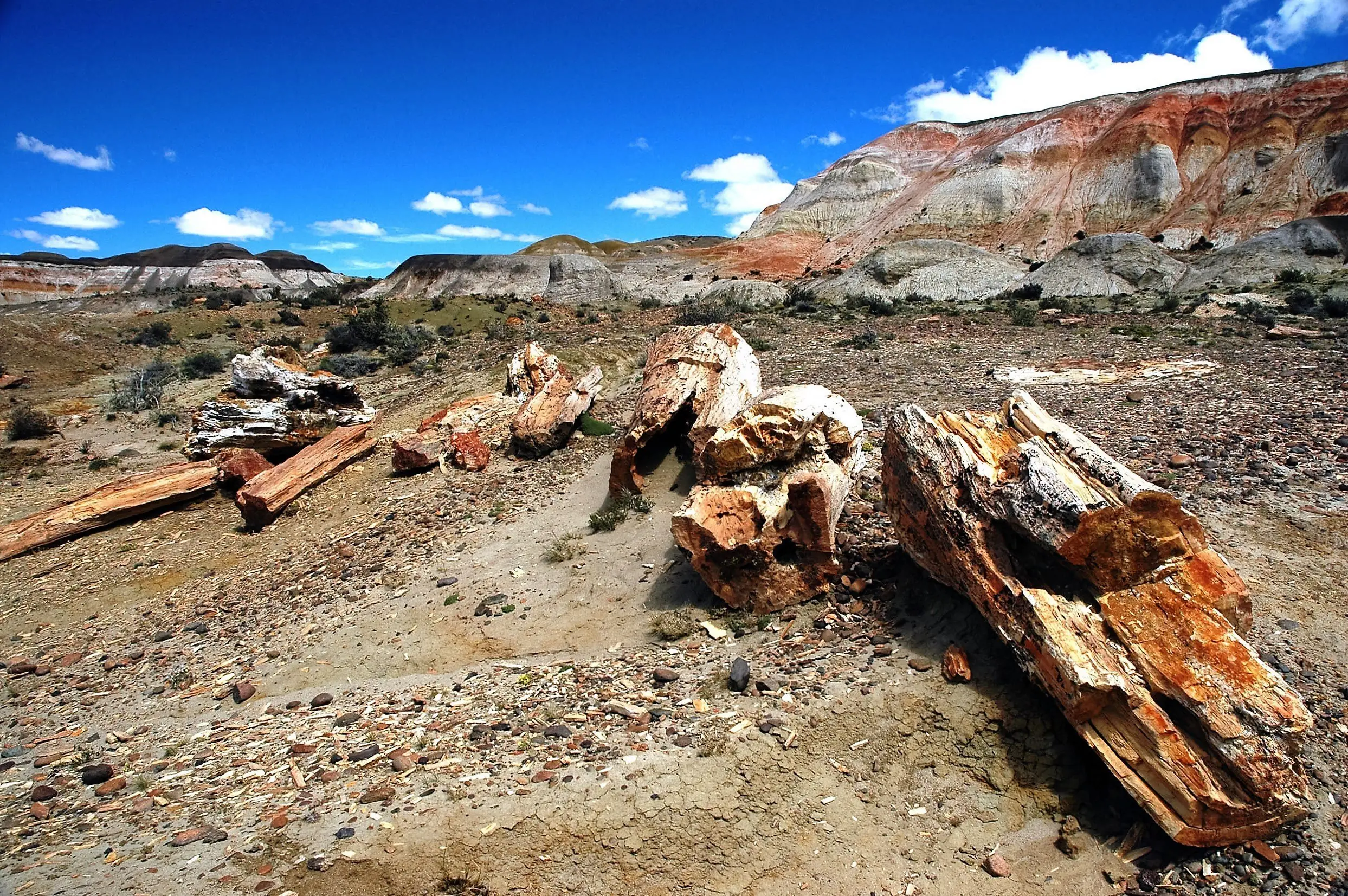 Monumentos naturales de Argentina