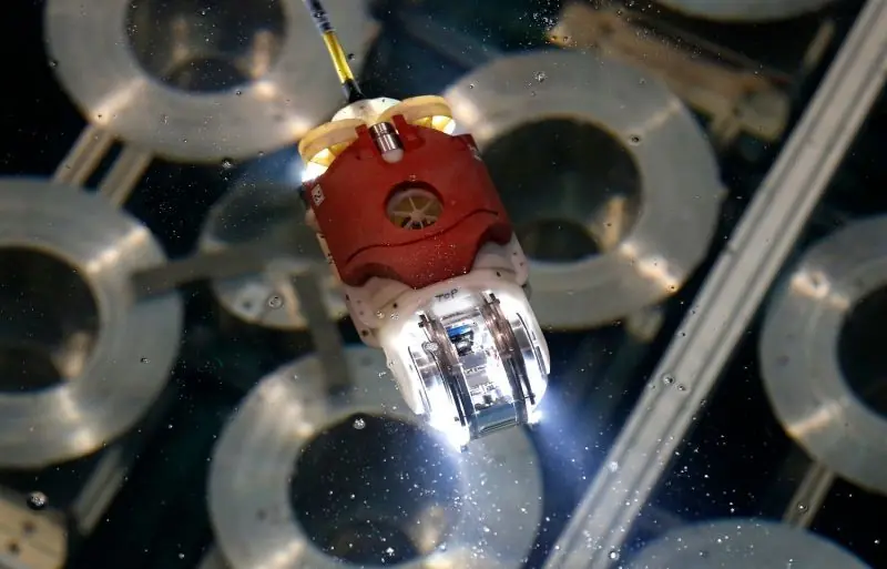 Robot pez buscará material radiactivo en Fukushima