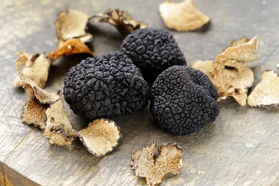 La trufa negra más grande del mundo