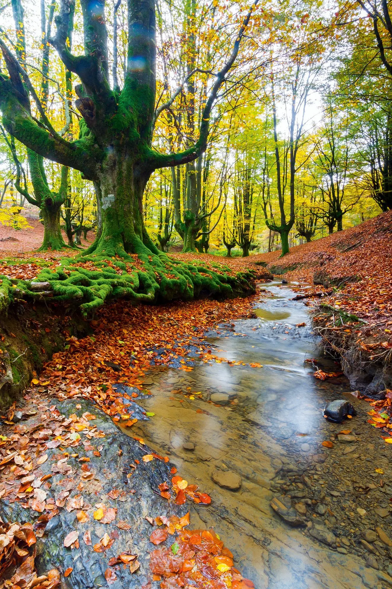 naturaleza naturaleza