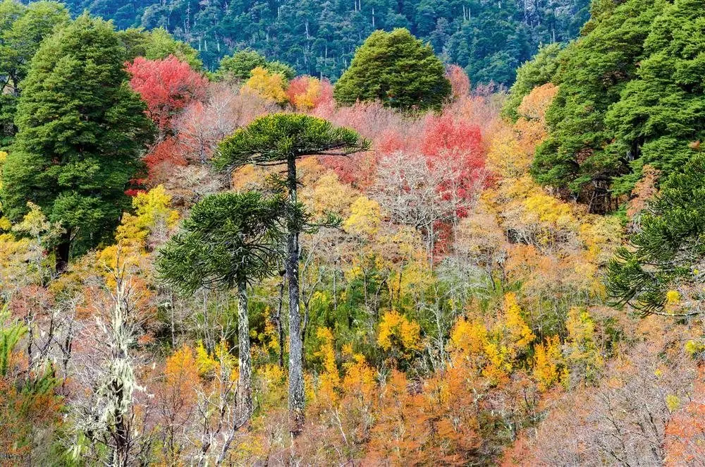 naturaleza naturaleza