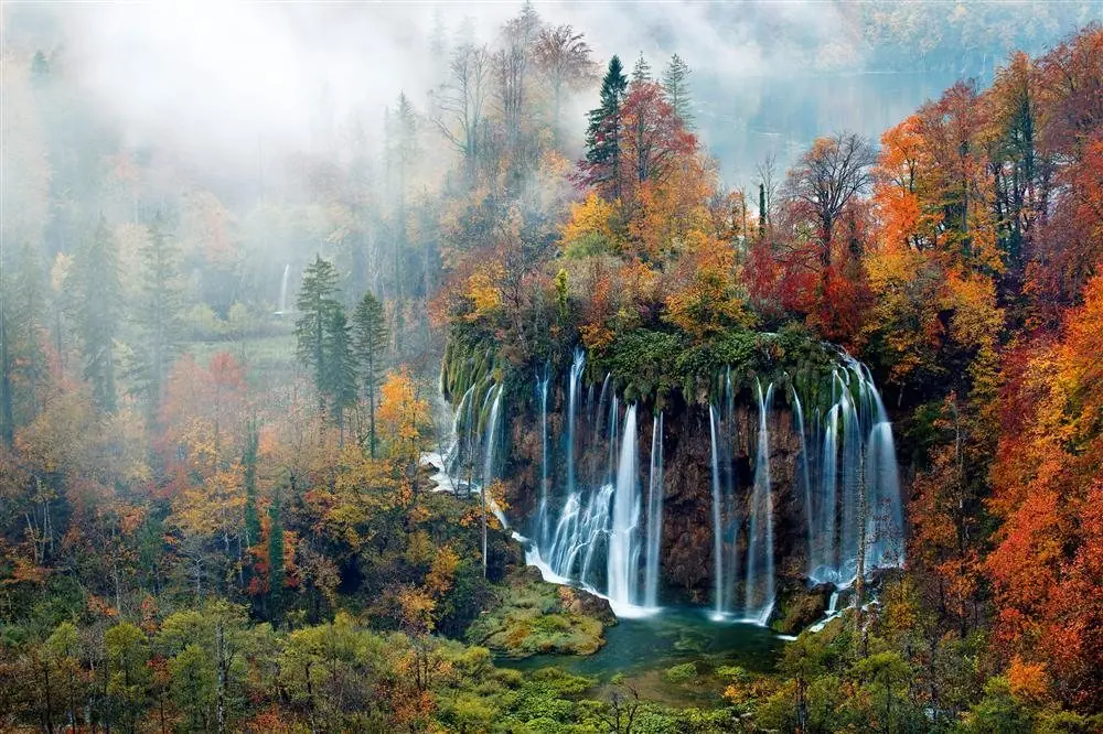 Los bosques más bellos del mundo Los bosques más bellos del mundo