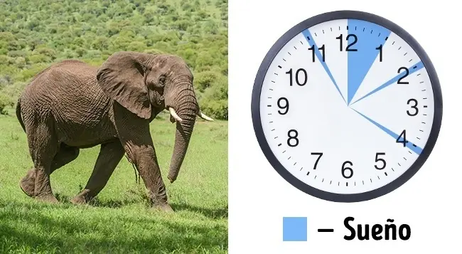en 2 horas en 2 horas