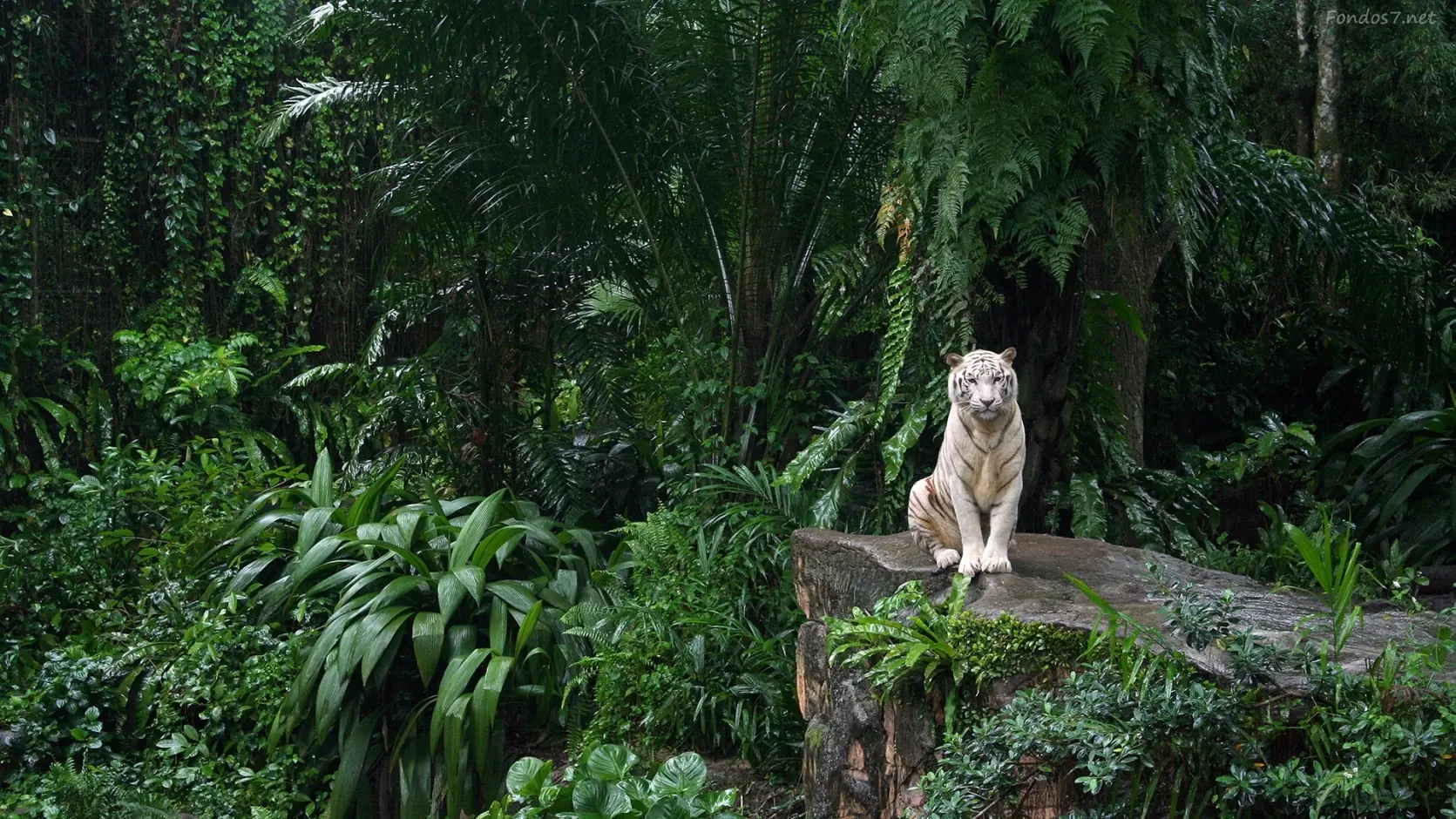 naturaleza naturaleza