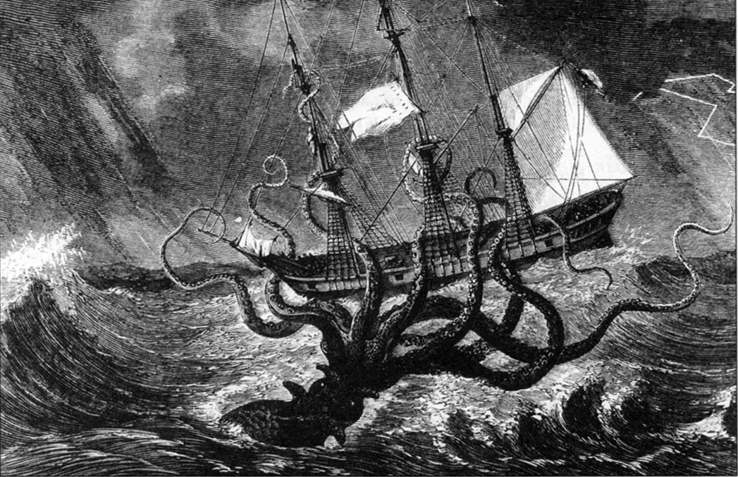 architeuthis dux