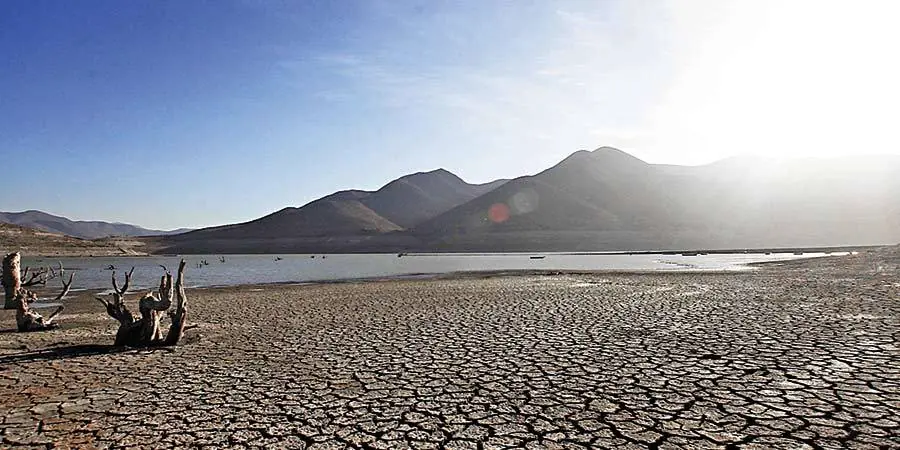 Ecologia