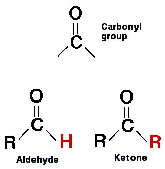 quimica organica