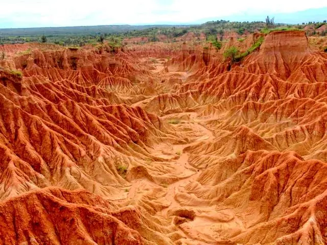 Paisaje Paisaje