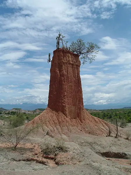 huila huila