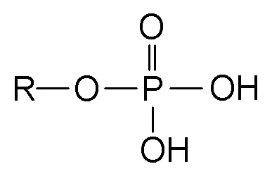 quimica