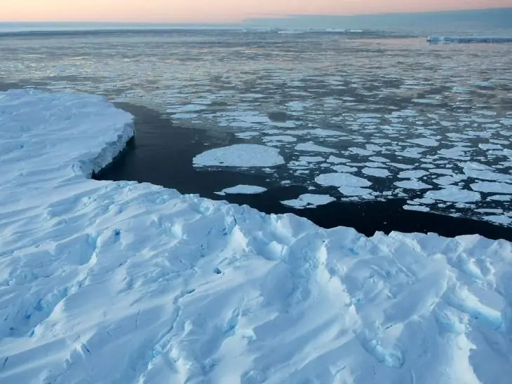 climatico climatico