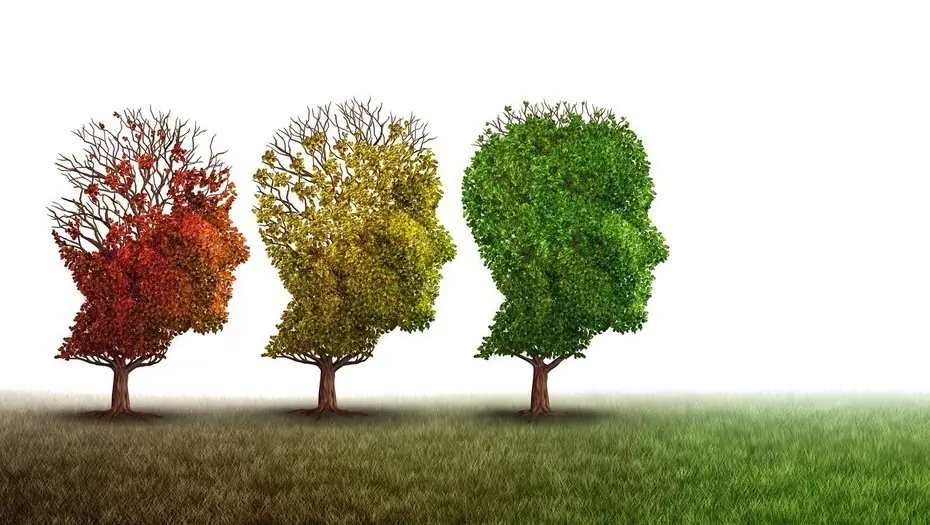 Alzheimer Alzheimer