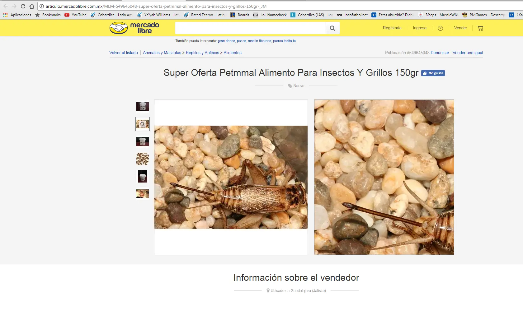 fan de las aranas homosexual