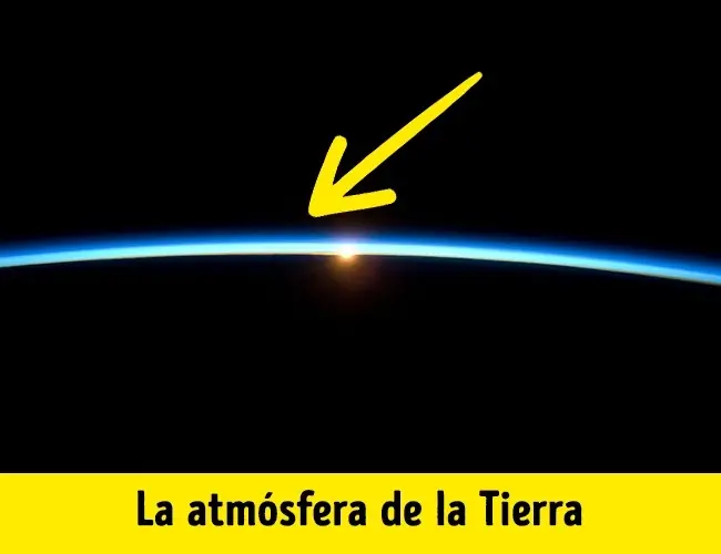 info