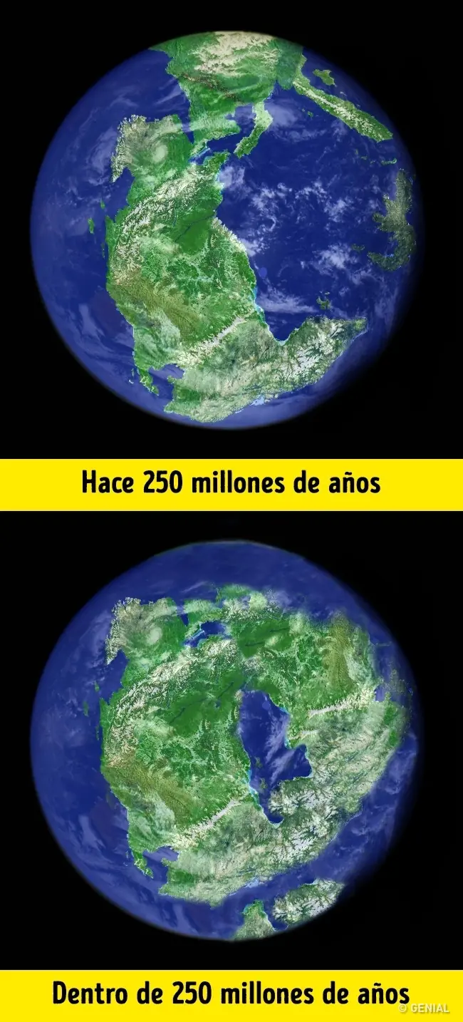 info