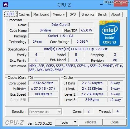 amd