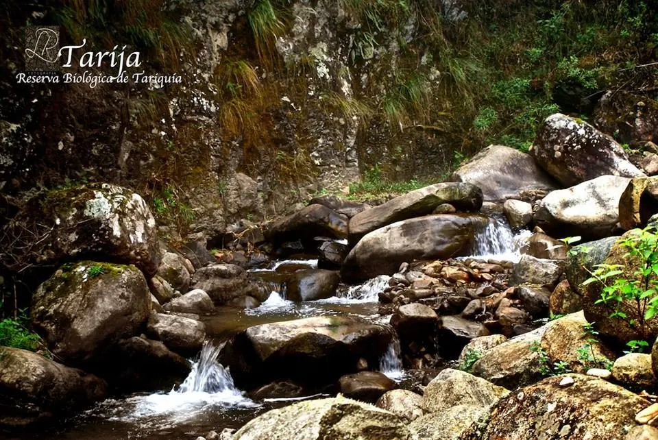 bolivia