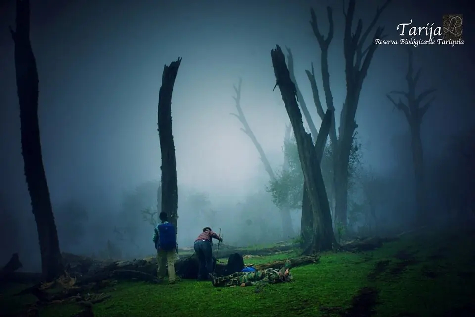 resarvas