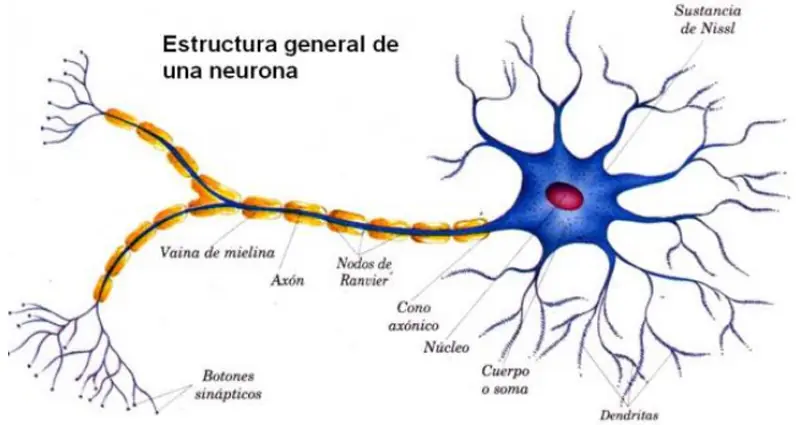 datos interesantes