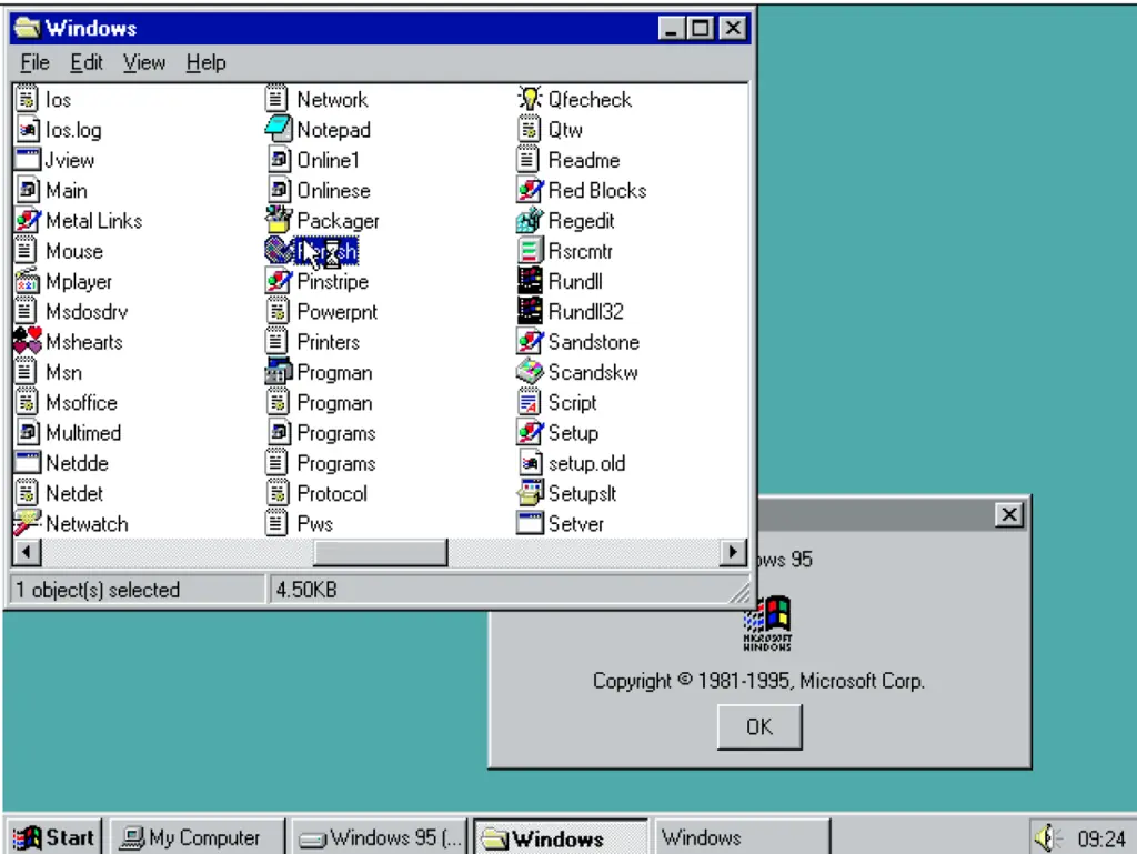 Microsoft Explorer Microsoft Explorer