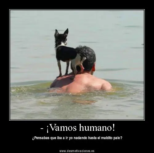 que no darle