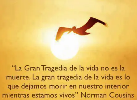Pensamientos sobre la Vida y la Muerte