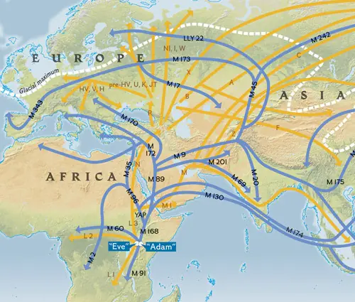 Las razas no existen: pasa que te explico