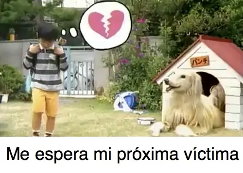 perro gigante