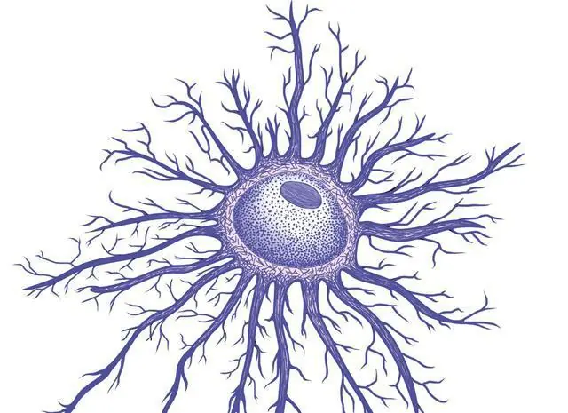 de las neuronas