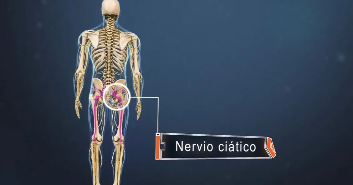 Datos interesantes que tal vez no conocías de las neuronas.